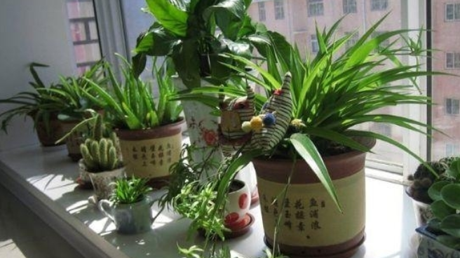 室內(nèi)除甲醛的六大方法介紹！