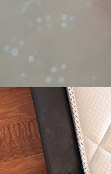 除甲醛公司如何選擇？