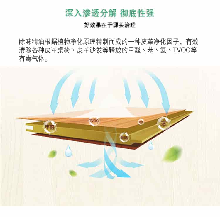深入滲透分解 徹底性強(qiáng)，好效果在于源頭治理，除味精油根據(jù)植物凈化原理精制而成的一種皮革凈化因子，有效清除各種皮革桌椅丶皮革沙發(fā)等釋放的甲醛丶苯丶氨丶TVOC等 有毒氣體。