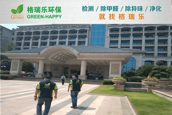 專業(yè)團(tuán)隊出馬！武漢除甲醛選格瑞樂準(zhǔn)沒錯
