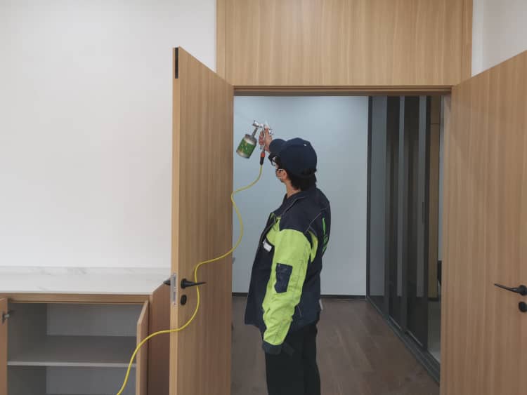 蔡甸除醛花幾多錢？格瑞樂超劃算！