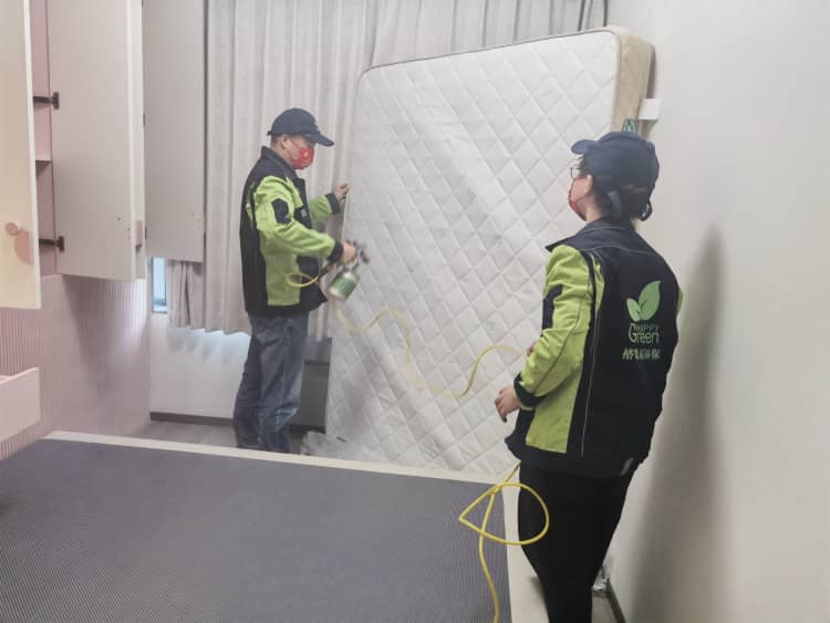 武漢辦公室除甲醛！選格瑞樂冇得錯